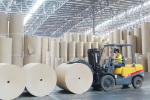 Cơ hội phát triển ngành tái chế giấy và bao bì đã qua sử dụng