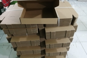 Sản xuất và in ấn hộp carton shipcod